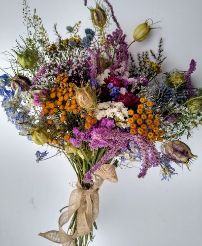 Dried flower wildflower - dried,