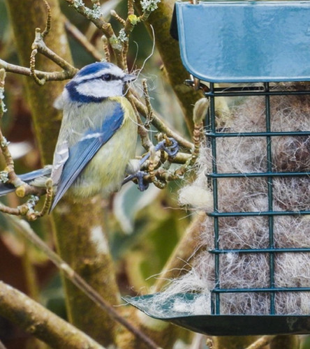 Fluffy nesting material for - nesting,