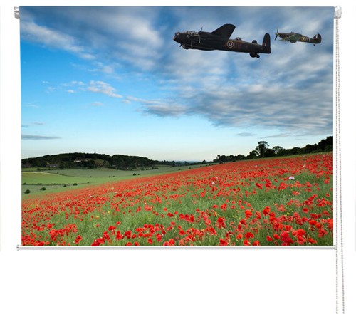 Lancaster bomber over - , poppy