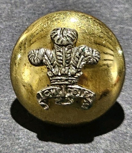 Prince wales leinster - of, regt-