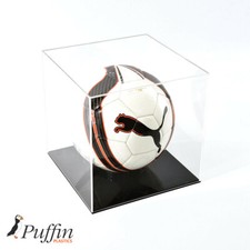Ball Display Case 