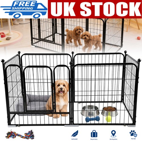 6panel dog pet - dog,