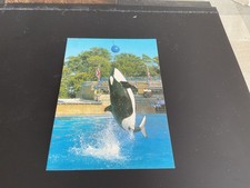 WINNIE THE KILLER WHALE AT