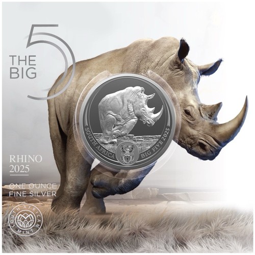 2025 south african rhino big - african,