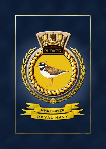 Hms plover framed - framed, ships