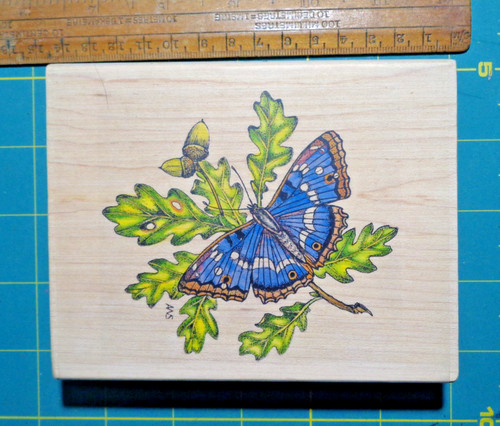 Purple emperor oak rubber - purple,