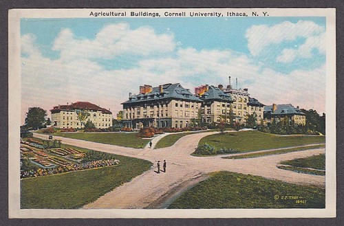Agricultural buildings cornell - agricultural,