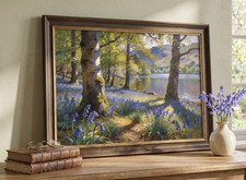 Derwentwater Bluebell Woods