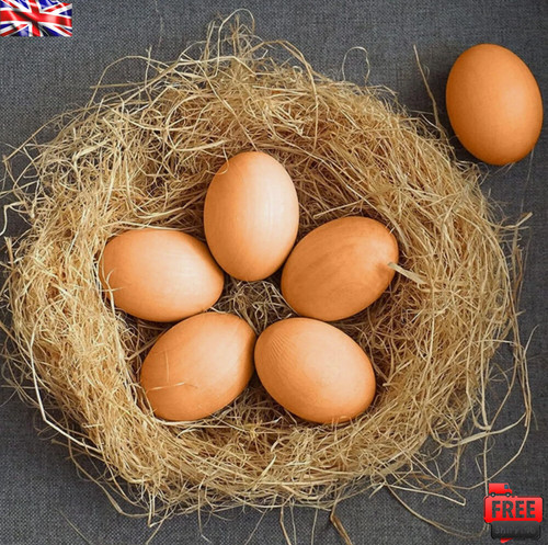Weighted dummy chicken eggs - 6x,