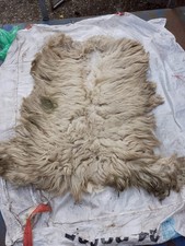 Scottish Blackface Fleece raw