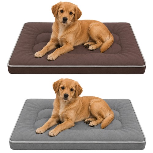 Flat orthopedic dog - orthopedic,