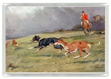 GREYHOUND DOGS COURSING DOG