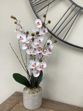White Mini Orchid Artificial