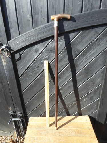 Antique walking stick - walking, with