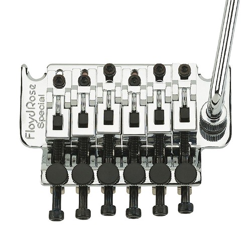 Floyd rose special - rose, double