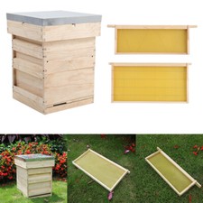 Wooden Beehive Starter Kit Bee Hive with Honeycomb Foundation Frames Beekeeper