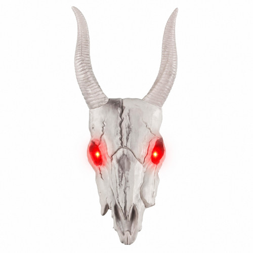 Goats skull with devil horns - skull,