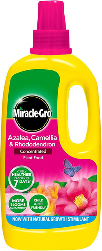 Miracle gro azalea camellia - miracle-gro,