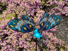 GARDEN GLASS WINGED BUTTERFLY