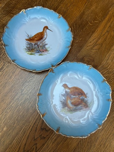 Pair antique blue bird plates - blue,