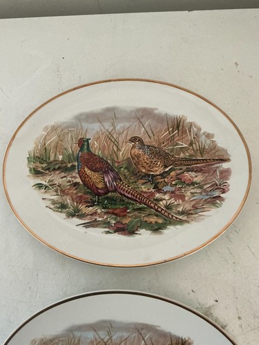 Pair large oval serving - pair,