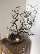 Natural Twisted Hazel Branch