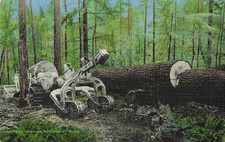 Postcard Logging Cat Winch