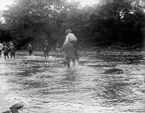 Hunting party following