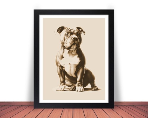 Framed american bully - american, dog