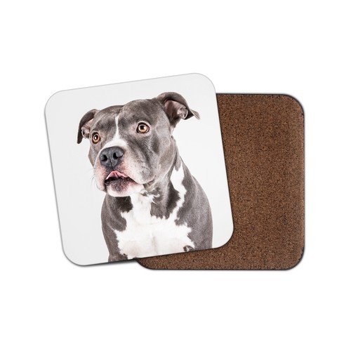 Blue staffie coaster dog - blue,