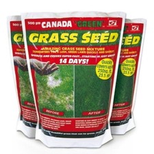 Canada Green Grass Seed