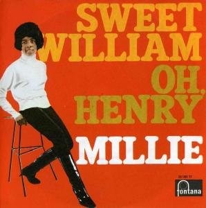 Millie small sweet william - small,