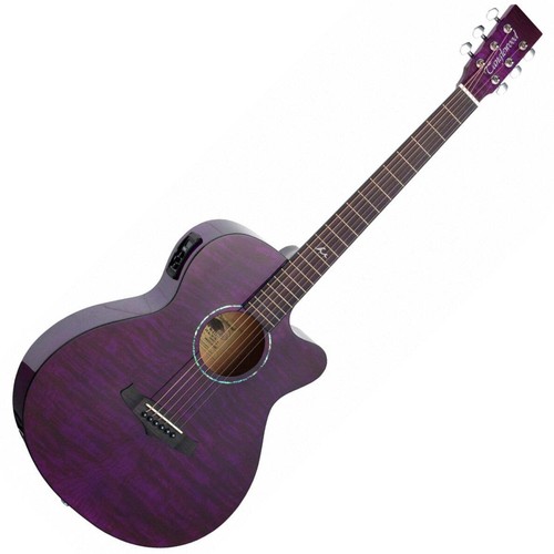 Tanglewood electro acoustic - tanglewood,