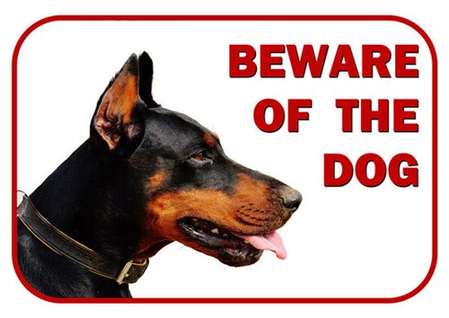 Beware the dog - x,