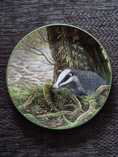 BADGER ON HIS EVENING PROWL