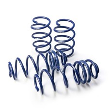H&R lowering springs 28905-1