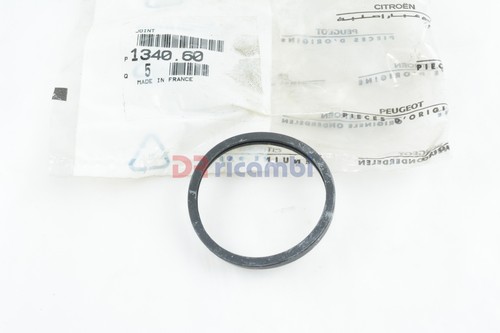 Thermostat gasket ring - thermostat,