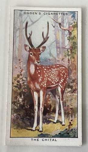 Ogdens 1932 colour nature - ogdens,