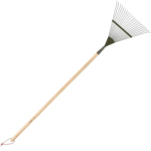Burgon ball rhs borongreen - rhs,