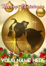 Boston Terrier Puppy Dog