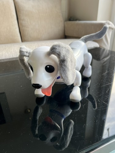 Zoomer playful pup responsive - pup,