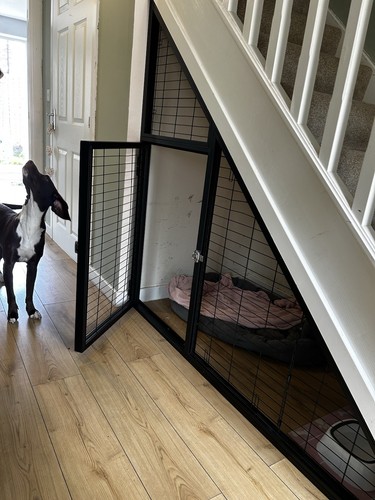 Dog home under house - under,
