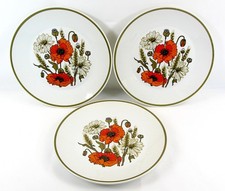 J & G Meakin Dinner Plates