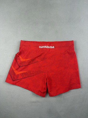 Hayabusa mma fight - hayabusa,