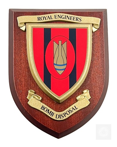 Royal engineers bomb disposal - royal,