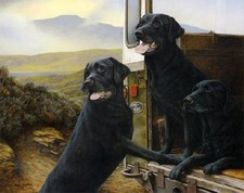 Nigel Hemming WILD ROVERS Limited Edition Print