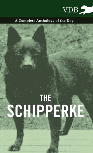 Various schipperke a - schipperke,