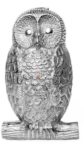 Polished nickel owl door - owl,