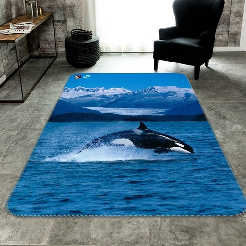 Animal killer whale - killer,
