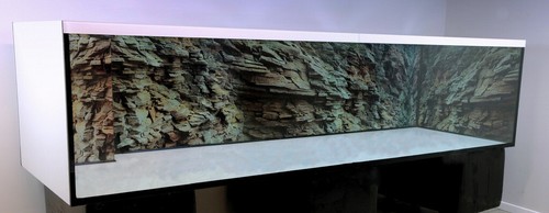 Large customer order - , aquarium